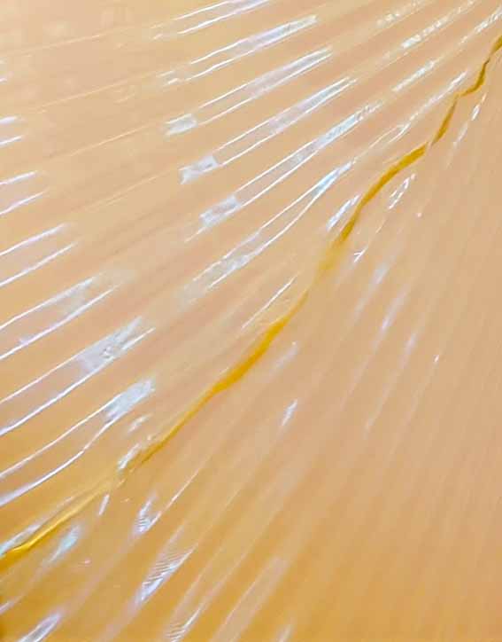 Isis Wings transparent organza yellow