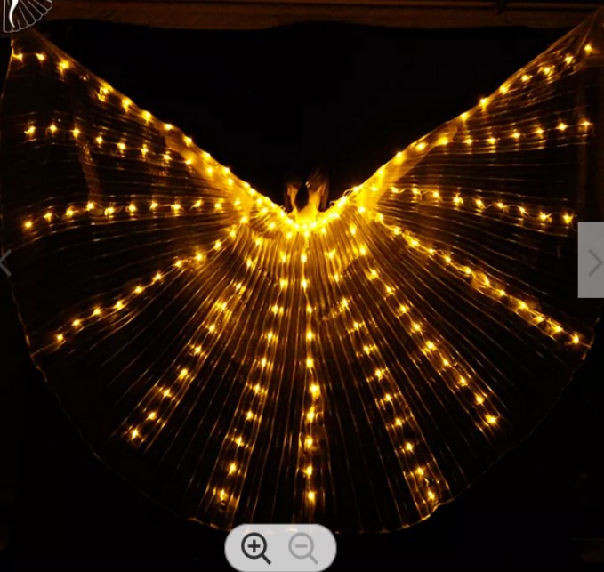 Isis Wings organza with gold led lights