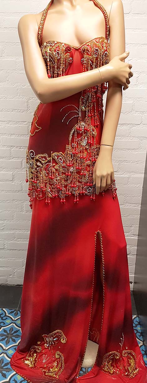 Beautiful one-piece belly dance dress with attached halter bra.