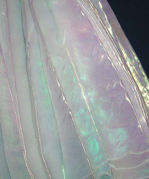 Isis Wings transparent organza white
