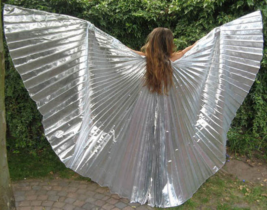 Isis Wings in silver of good quality organza