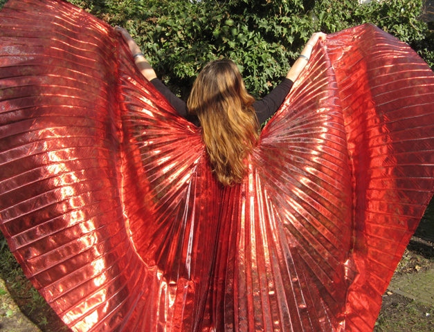 Isis Wings organza lamee in red