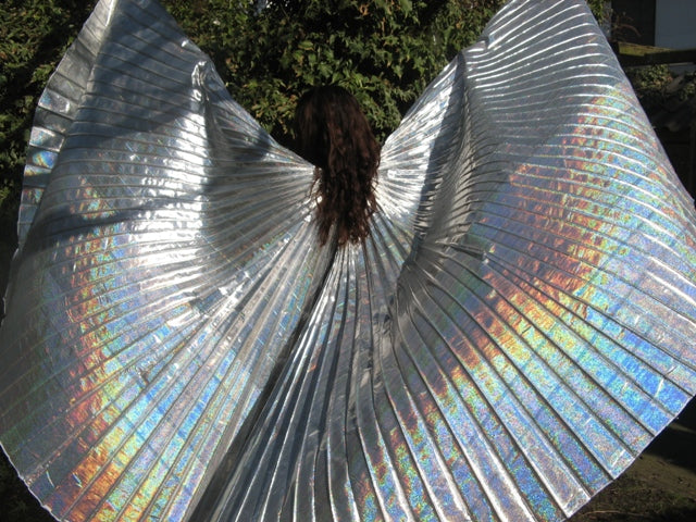 Isis Wings in silver organza
