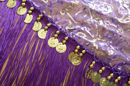 Hip scarf purple with gold lines and coins
