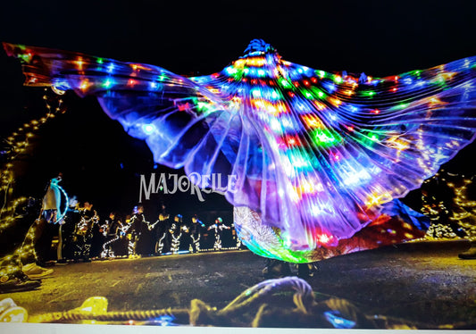 Isis Wings organza with LED lights in different colours
